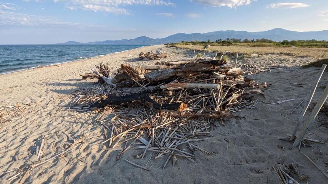 Photo of Others in Argeles Plage