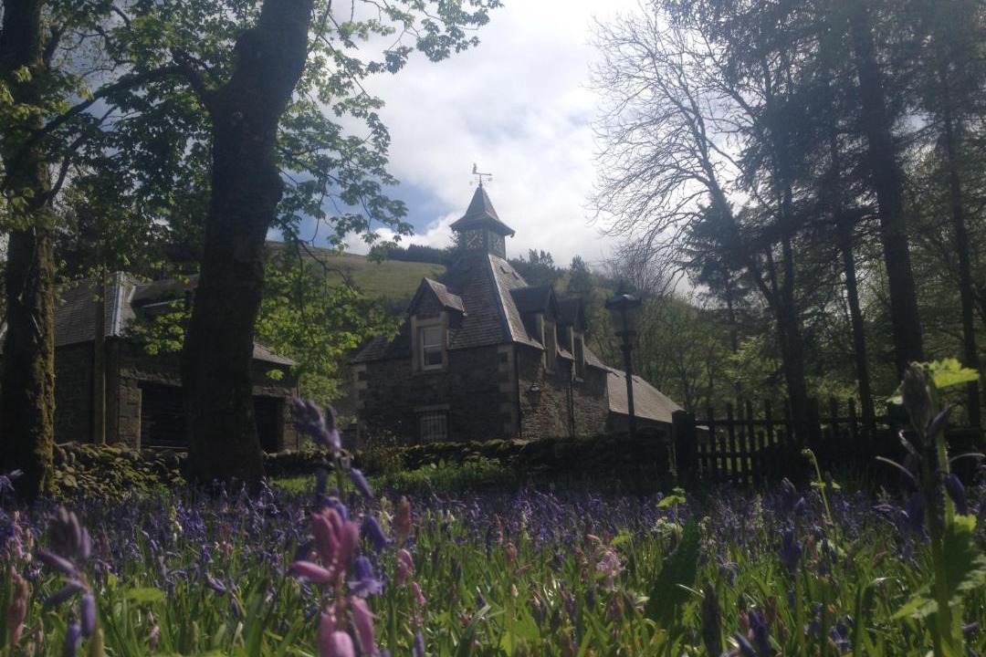 Photo of Others in Biggar