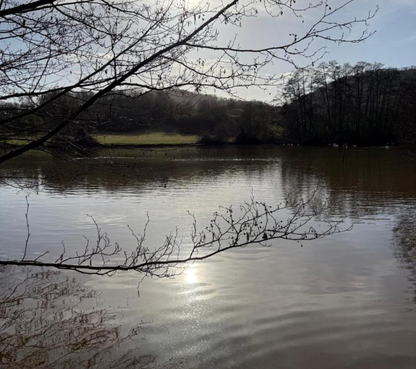 Photo of Others in Moreton