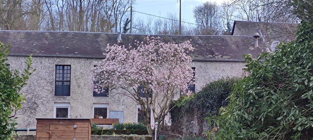 Photo of Others in Pont-d'Ouilly