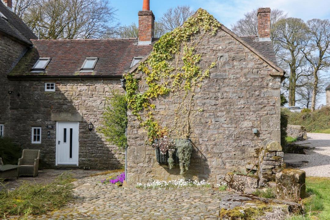 Photo of Others in Cauldon Low