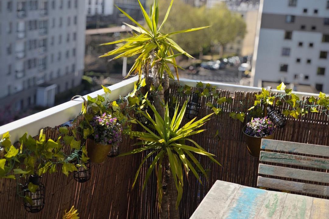 Photo of Patio Balcony in Vanves