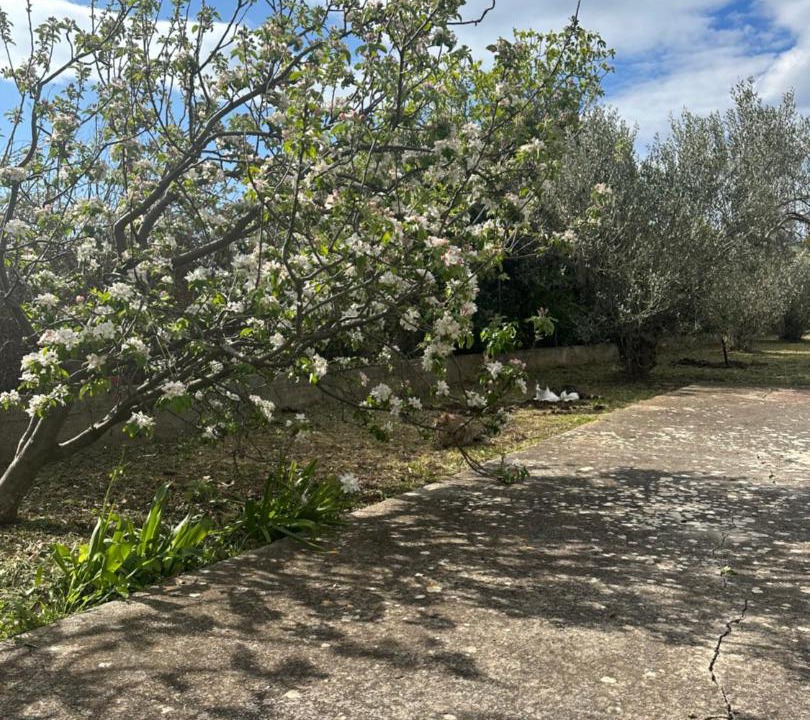 Photo of Outdoor in Susica