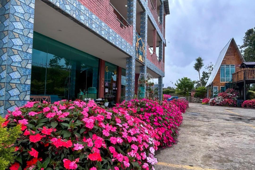 Photo of Others in Tanah Rata