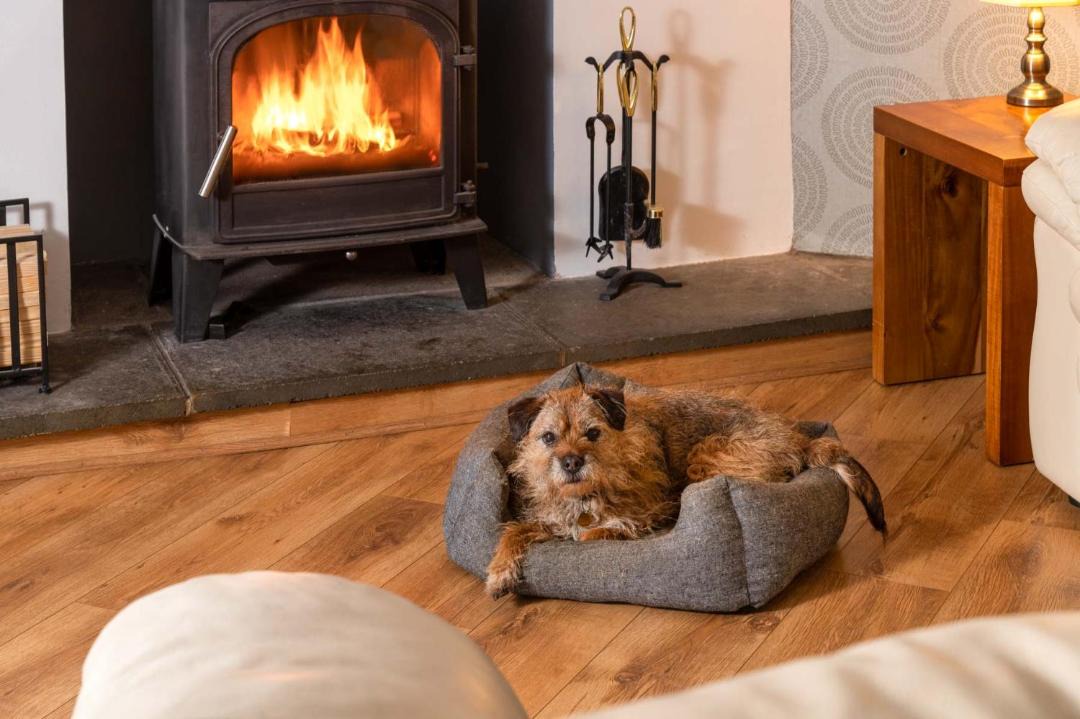 Photo of Others in Carlisle