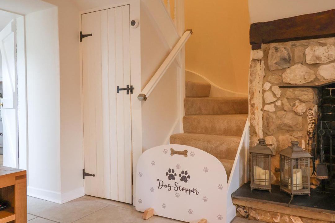 Photo of Others in Beer