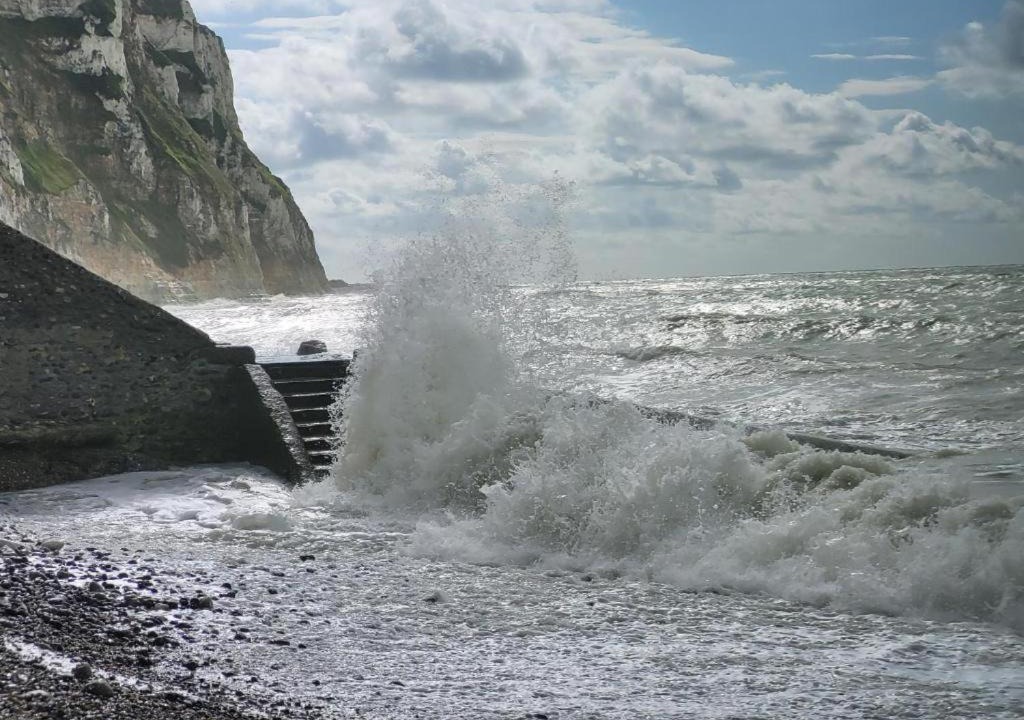 Photo of Others in Saint-Martin-en-Campagne