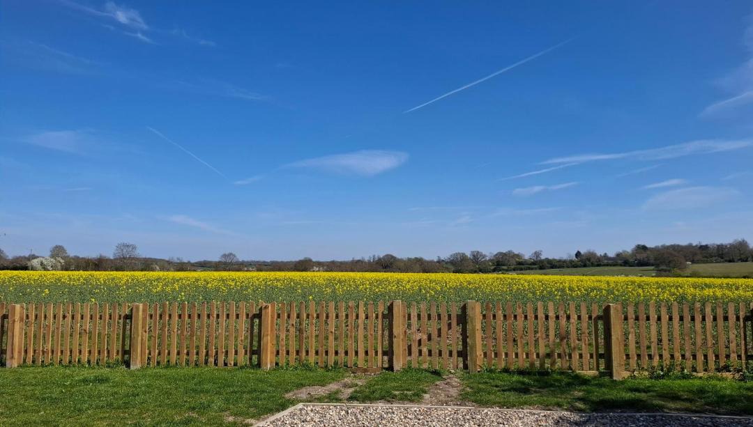 Photo of Others in Stowmarket