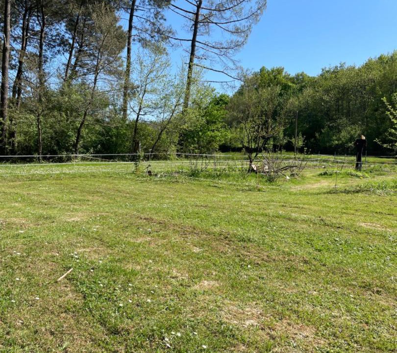 Photo of Others in Brugnac