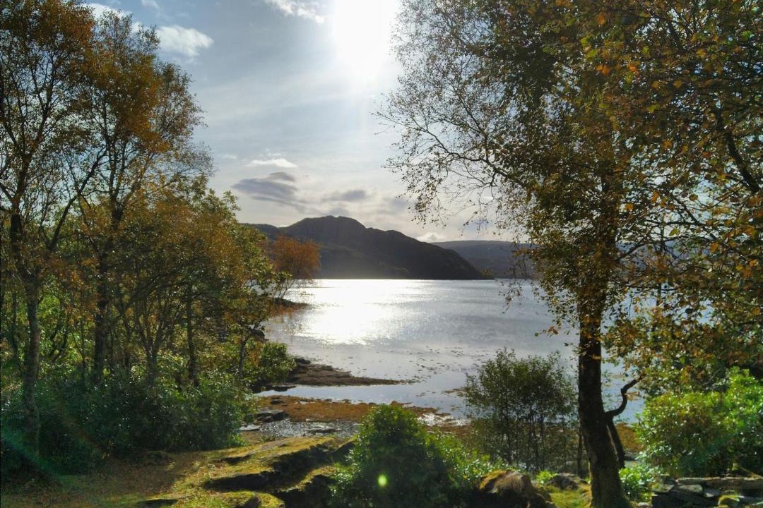 Photo of Others in Glenborrodale