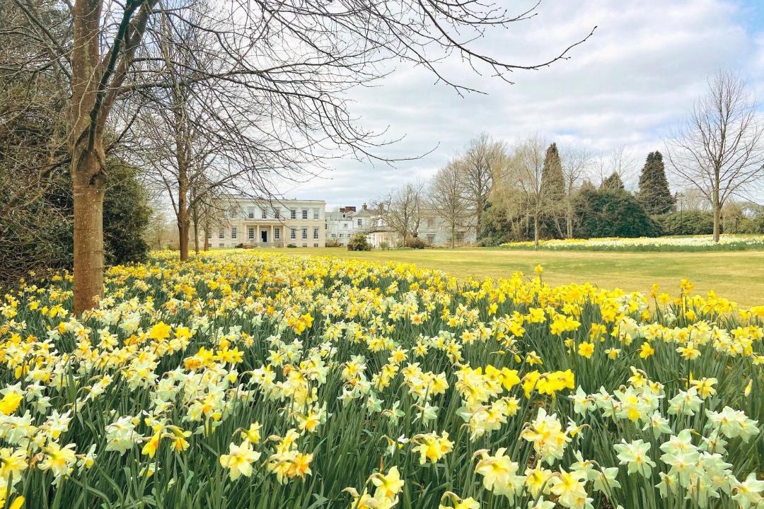 Photo of Others in Buxted