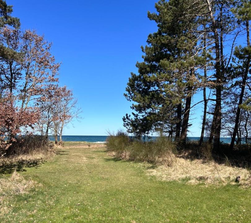 Photo of Others in Grenaa