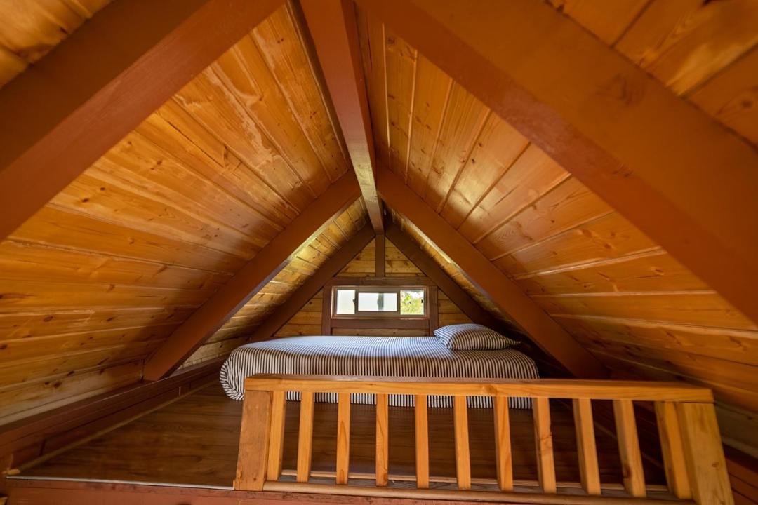 Photo of Others in Hilo