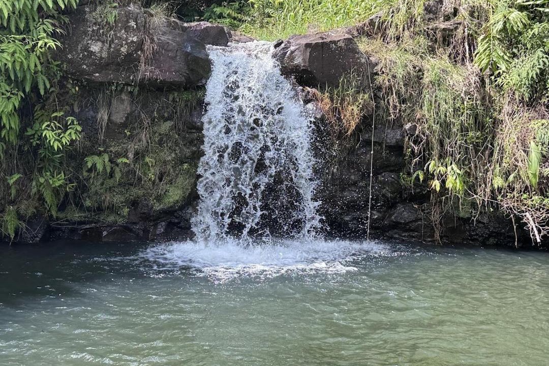 Photo of Others in Hilo