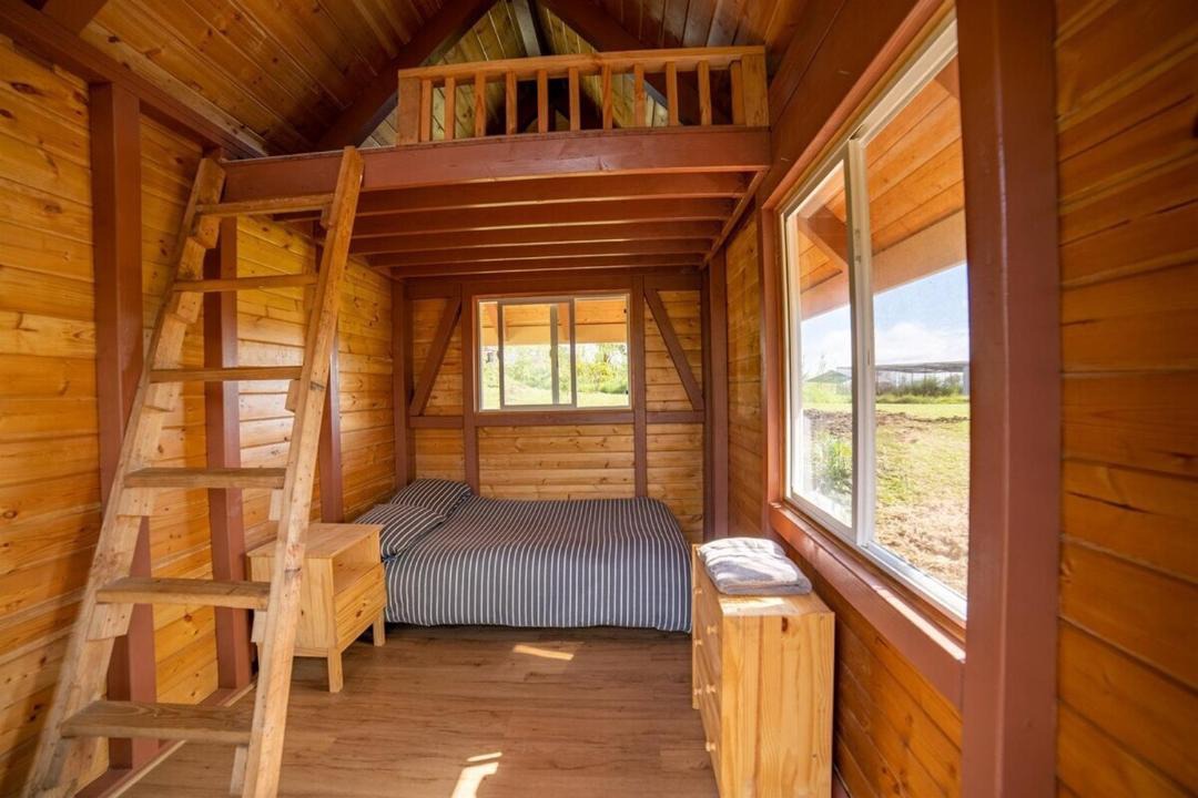 Photo of Others in Hilo