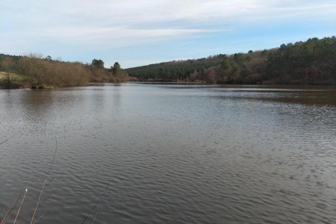 Photo of Others in Oriolles