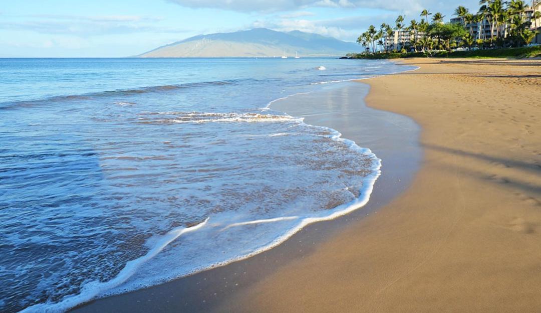 Photo of Others in Kihei