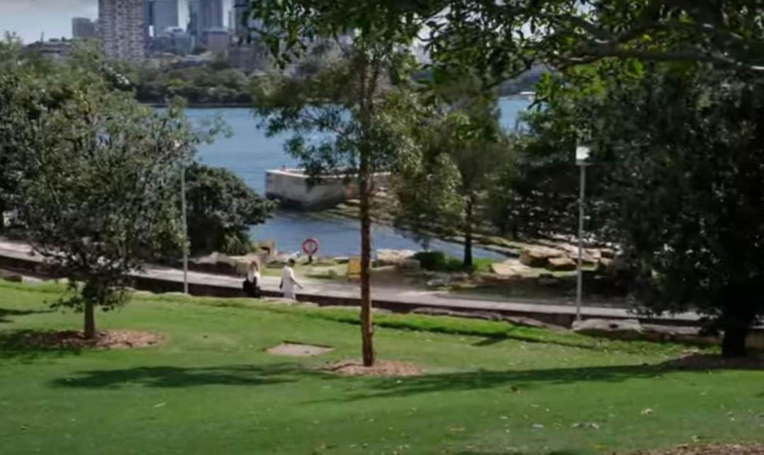 Photo of Others in Millers Point