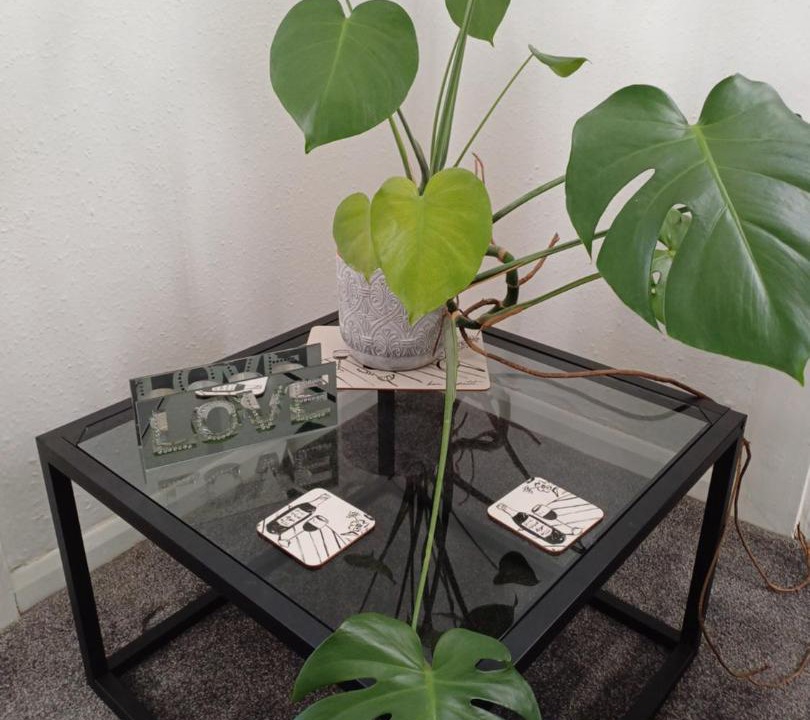 Photo of Others in Faversham