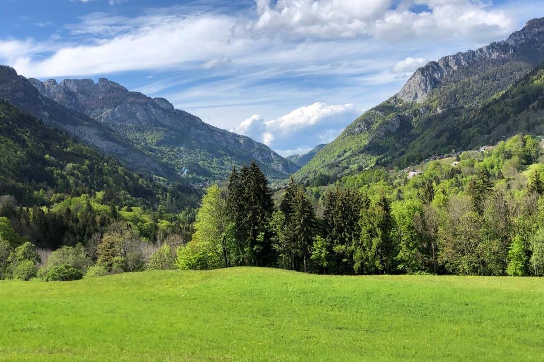 Photo of Others in Seytroux