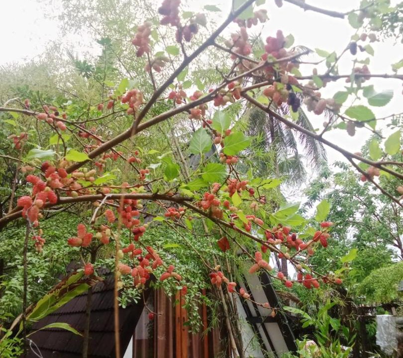 Photo of Others in Kecamatan Lembar