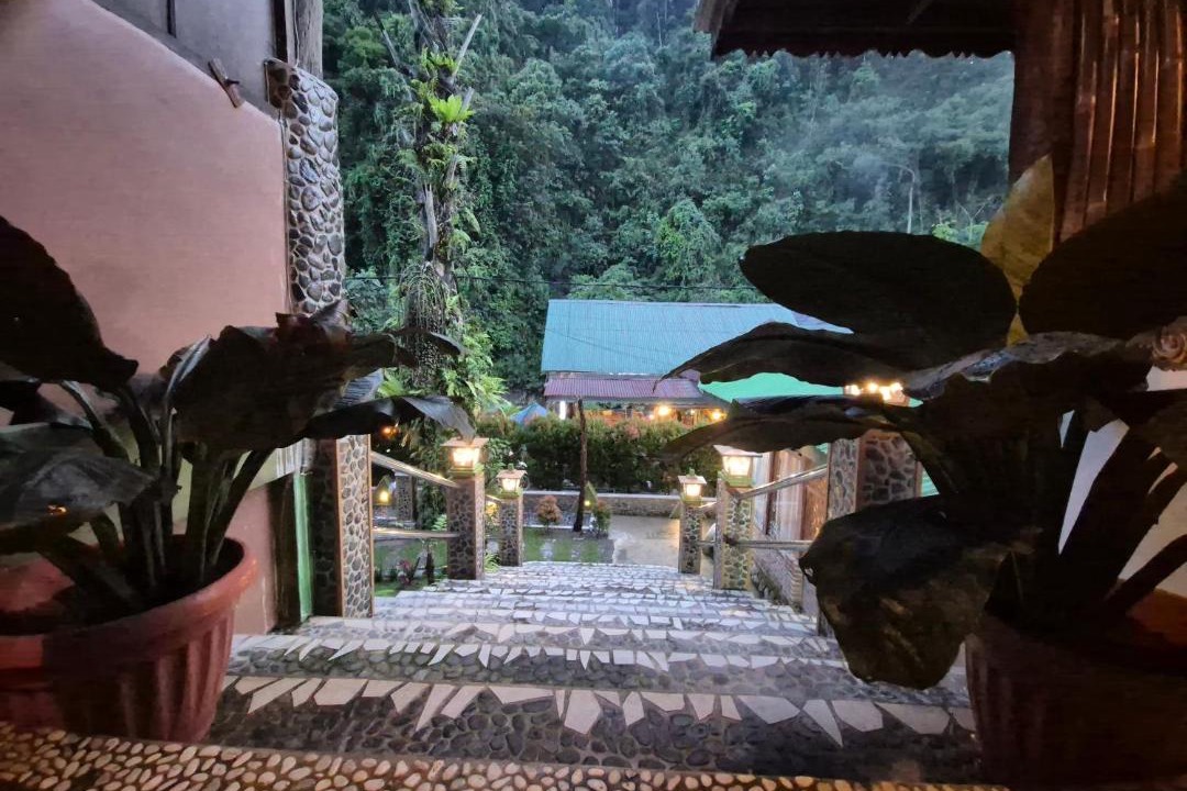 Photo of Others in Bukit Lawang