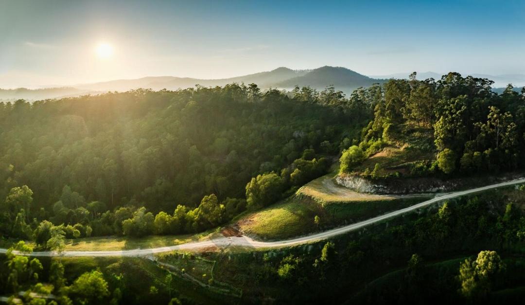 Photo of Others in Bellingen