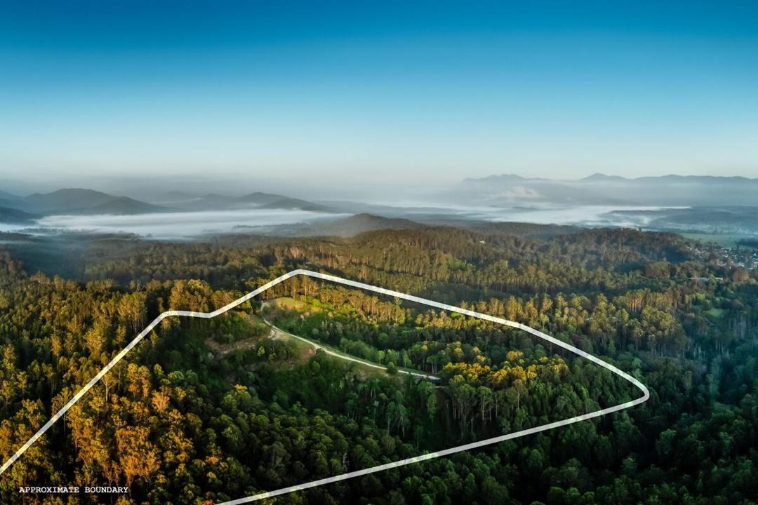 Photo of Others in Bellingen