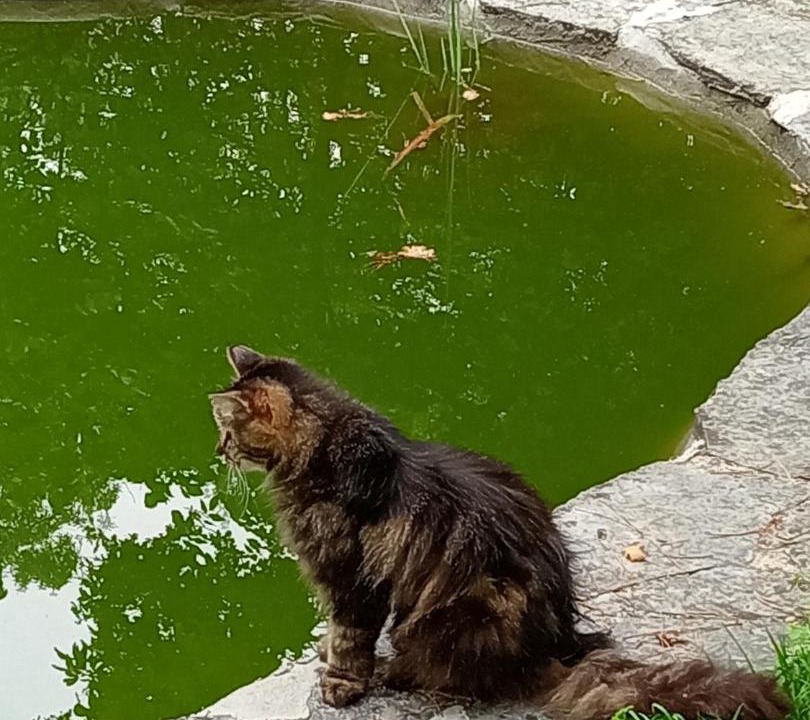 Photo of Others in Saint-Julien-sur-Cher