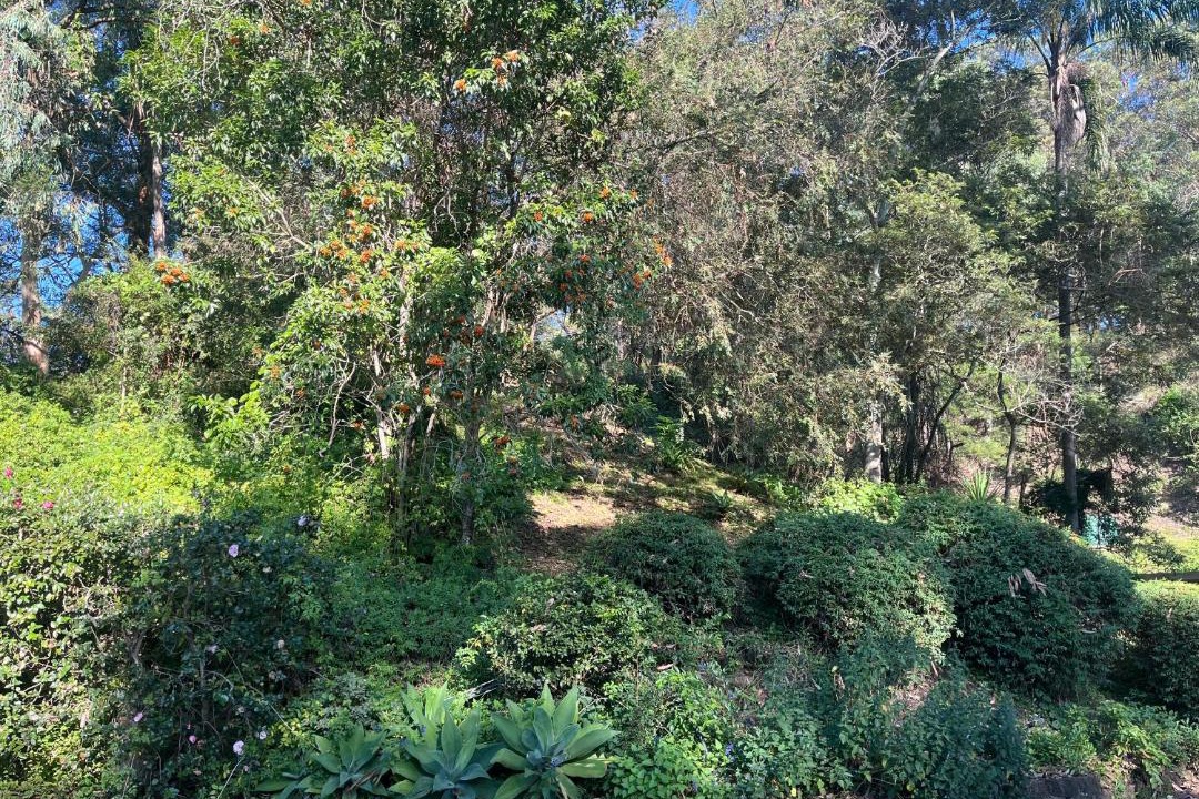 Photo of Outdoor in Grose Vale