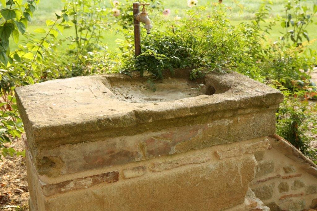 Photo of Others in Lavaur
