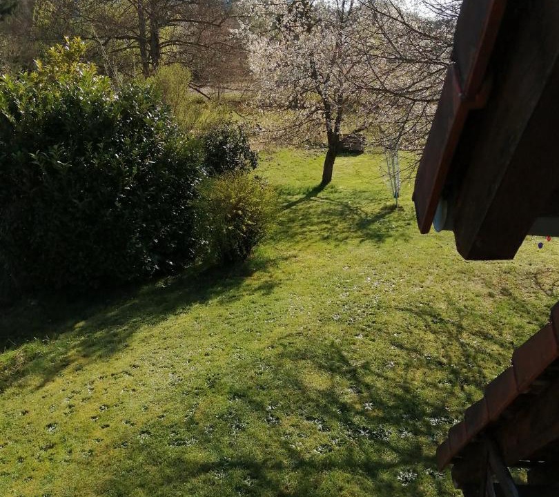 Photo of Others in Dambach