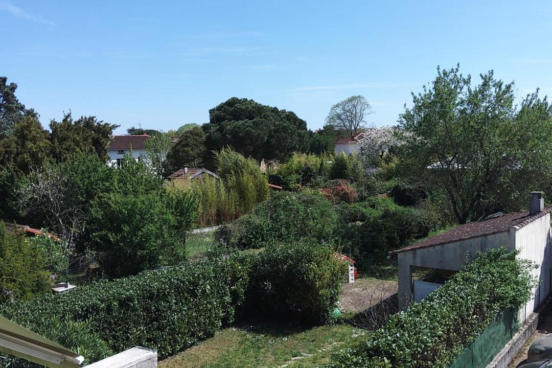 Photo of Others in Albi