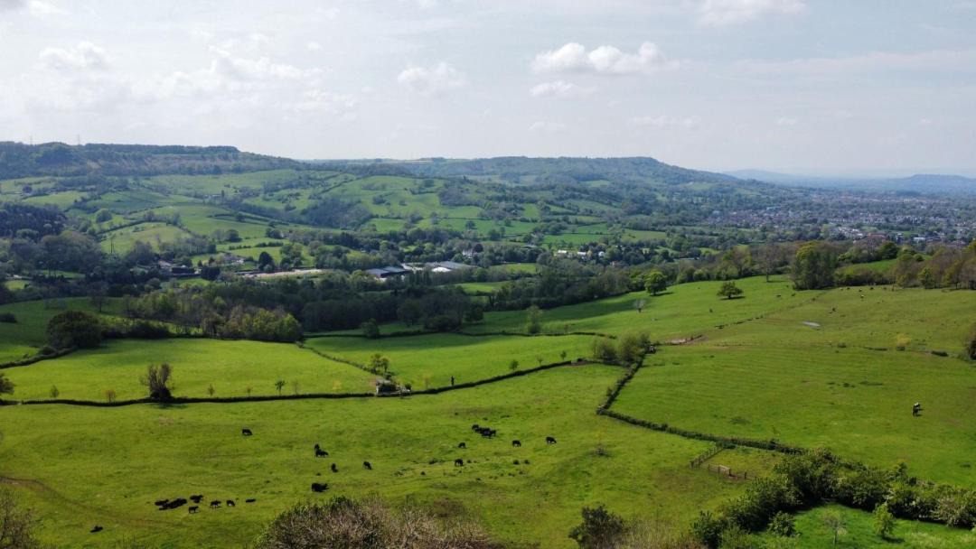 Photo of Others in Cheltenham