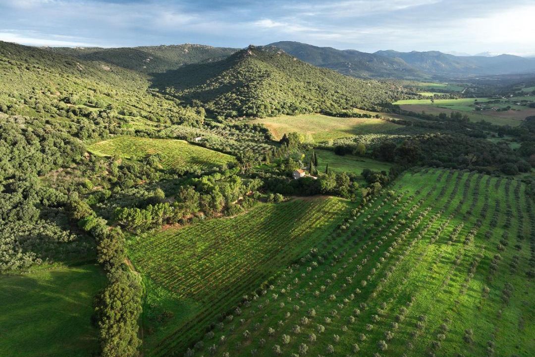 Photo of Others in Sartene