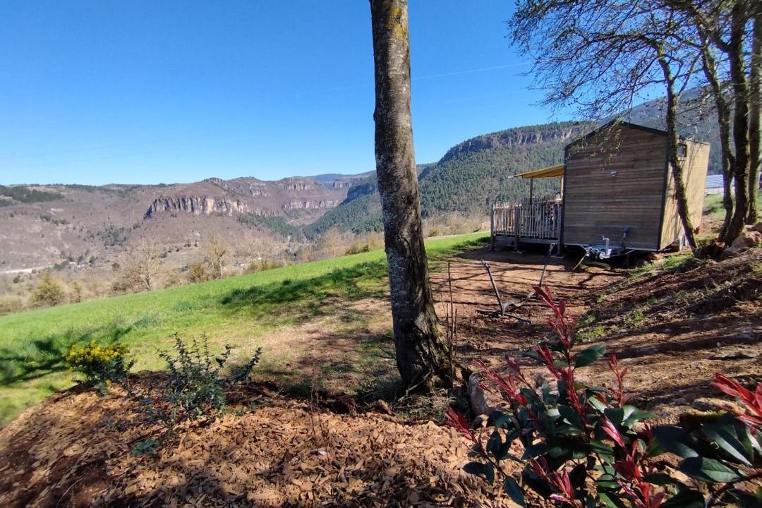 Photo of Others in Treves