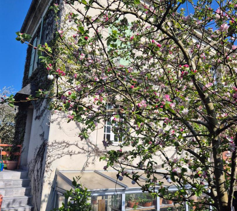 Photo of Others in Lisieux