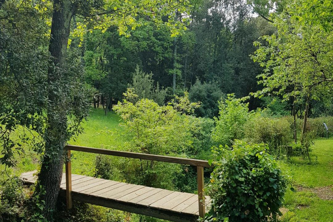 Photo of Others in Lanet