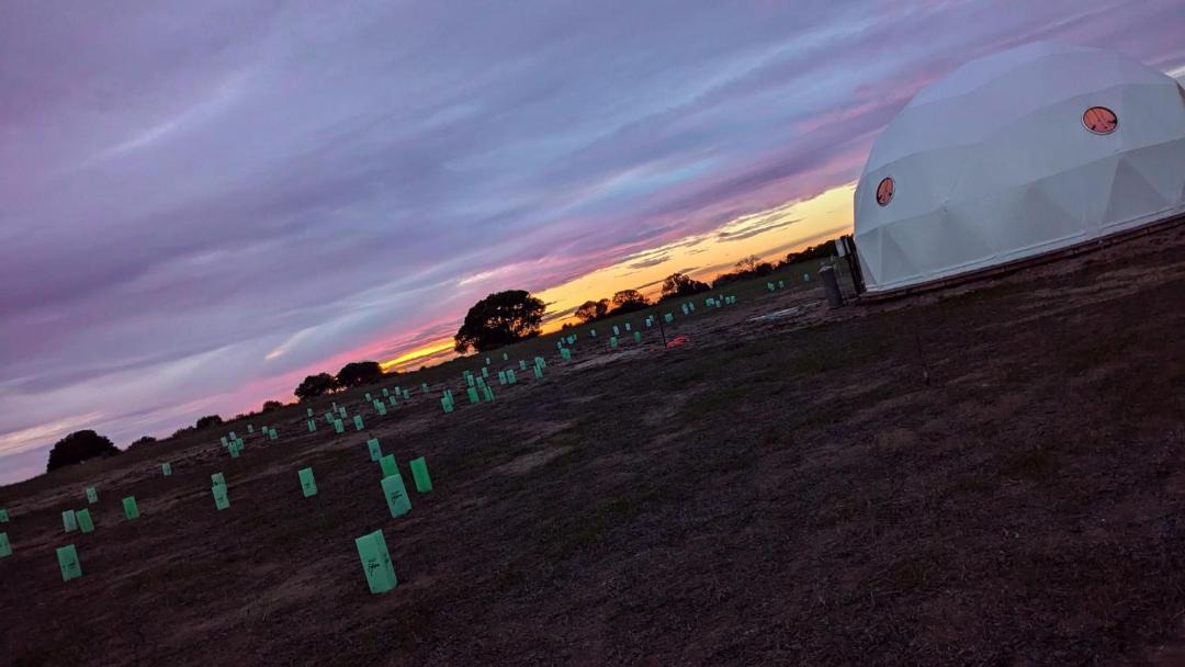 Photo of Others in Minlacowie