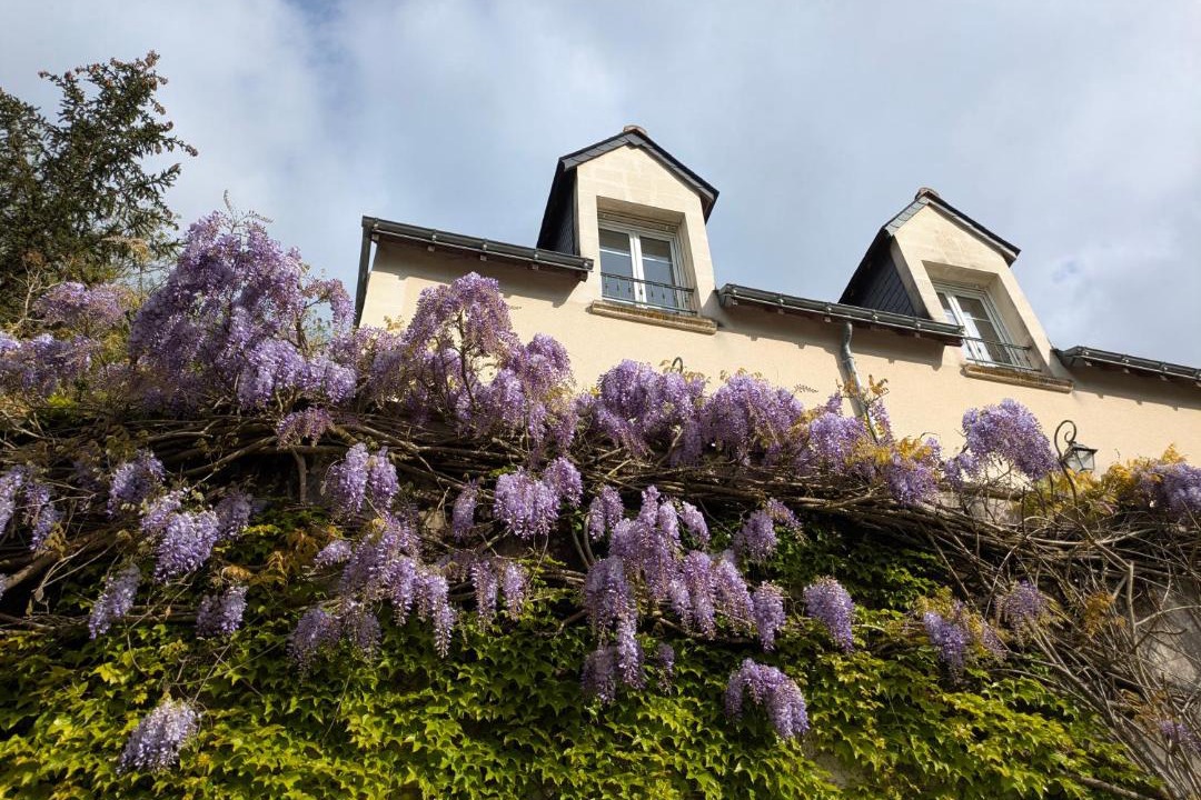 Photo of Others in Luynes