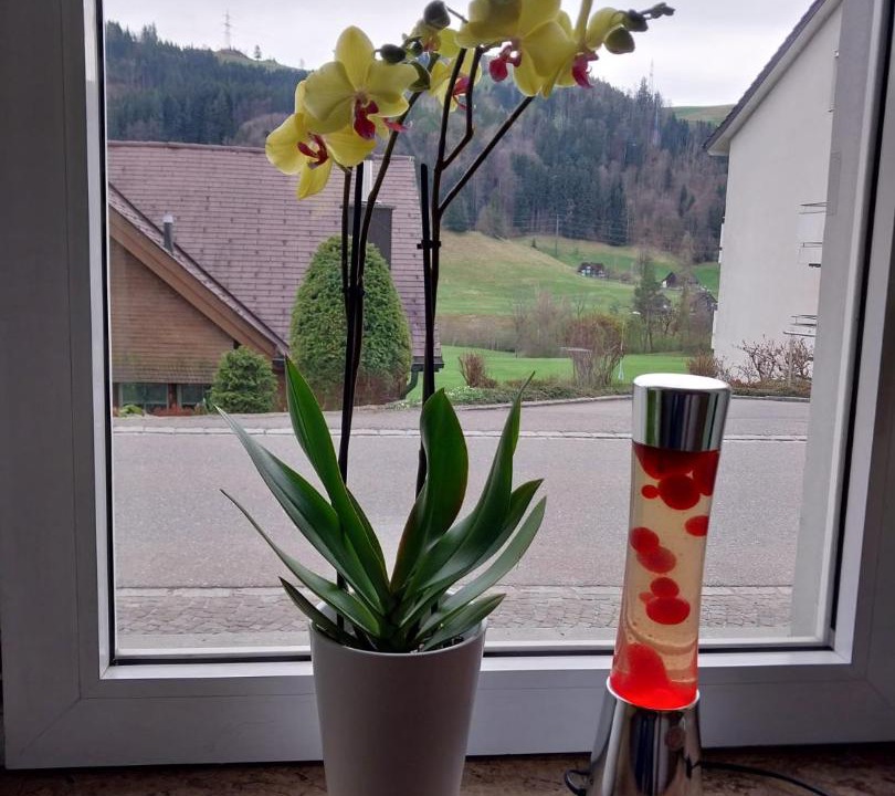 Photo of Others in Wienacht-Tobel