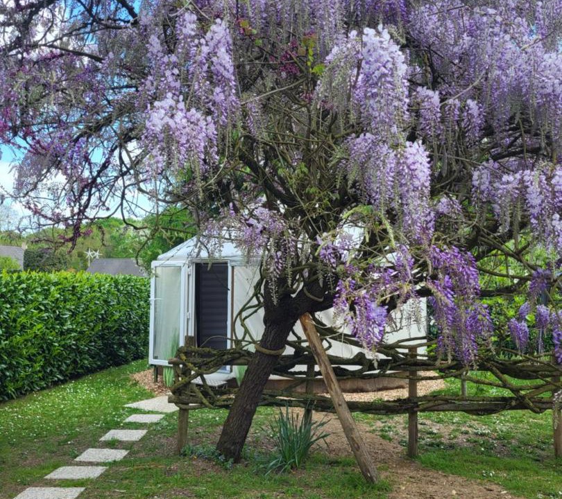 Photo of Others in Briollay