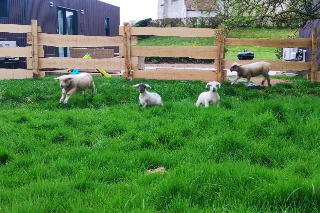 Photo of Others in Region de Beauvais
