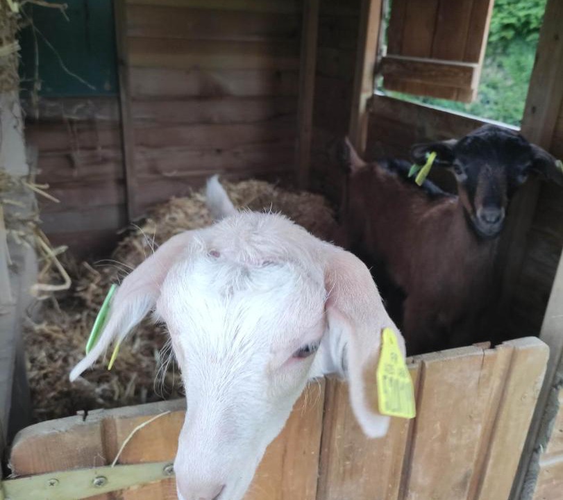 Photo of Others in Region de Beauvais