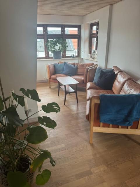 Photo of Livingroom in Nykobing Mors