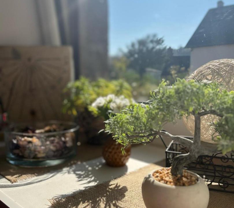 Photo of Others in Vire-Normandie