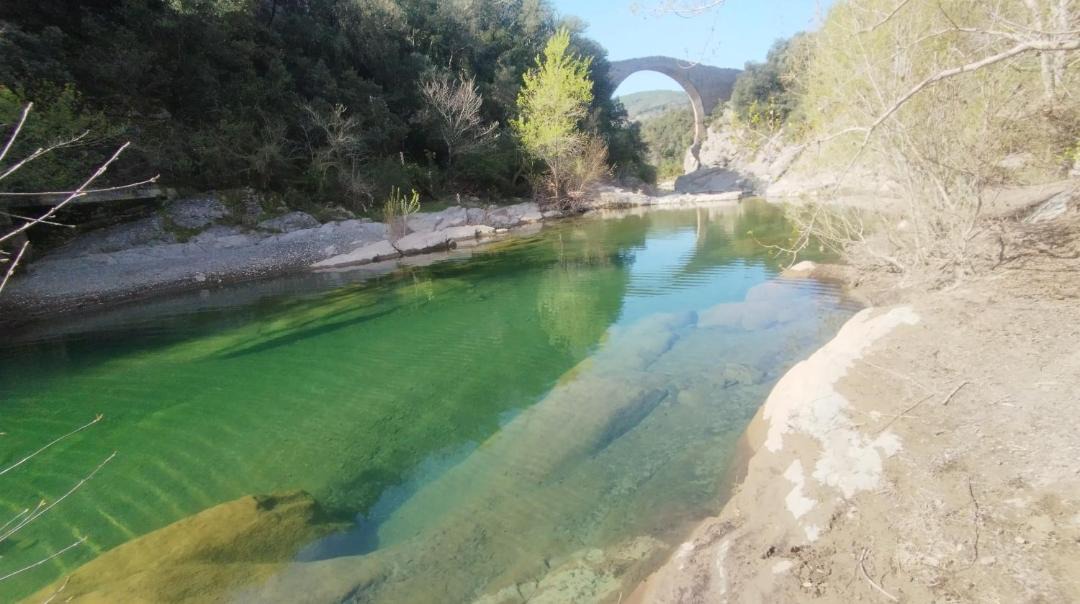 Photo of Others in Tortella