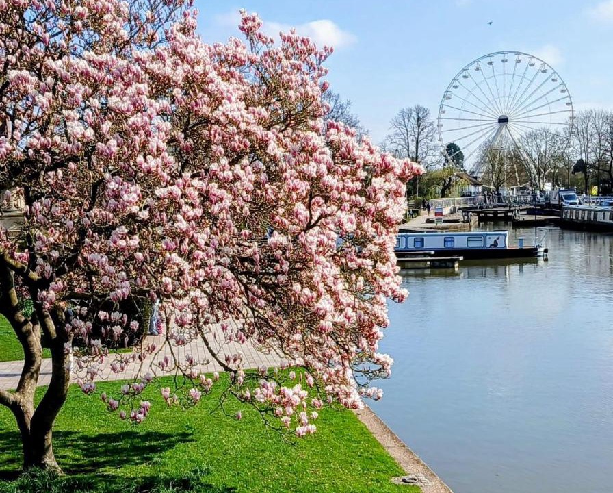 Photo of Others in Tiddington