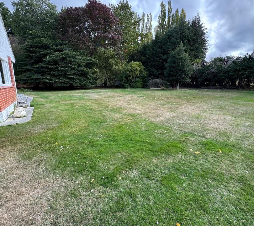 Photo of Others in Cardrona