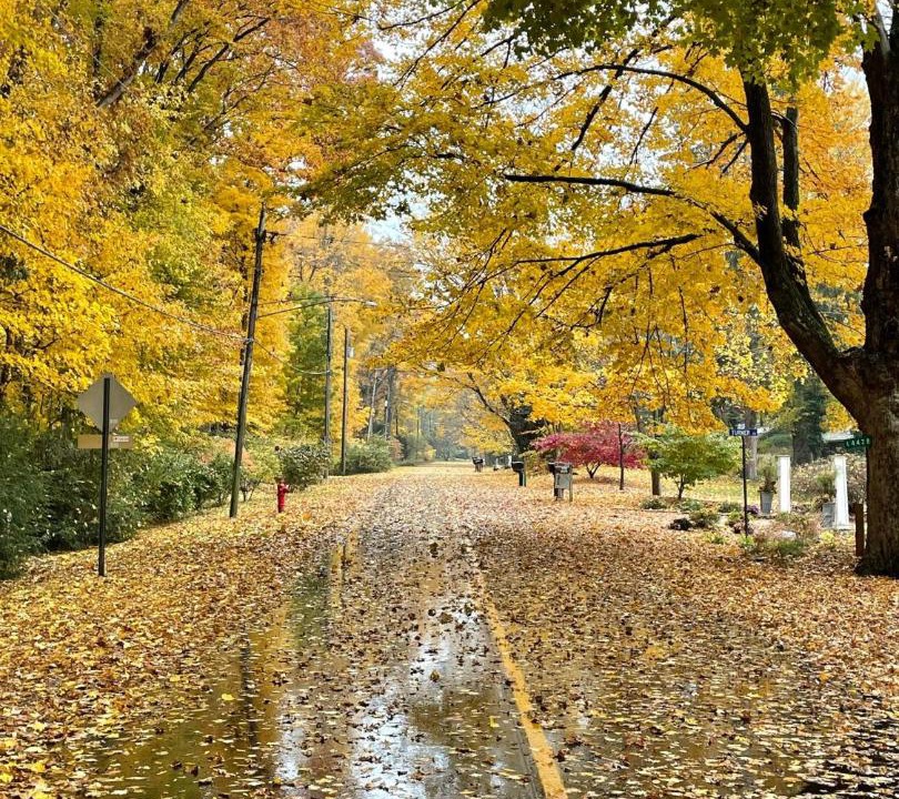 Photo of Others in Lakeside